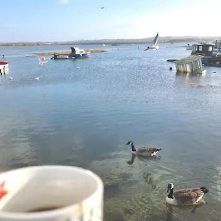 Holes Bay Nature Reserve, Poole, Right Next To The Water Exteriér fotografie
