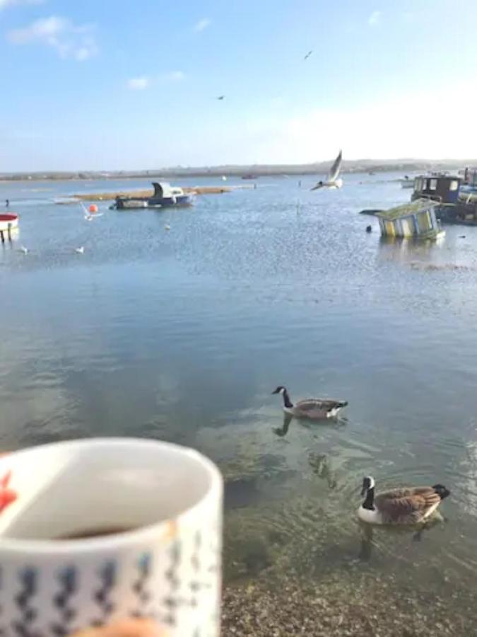 Holes Bay Nature Reserve, Poole, Right Next To The Water Exteriér fotografie